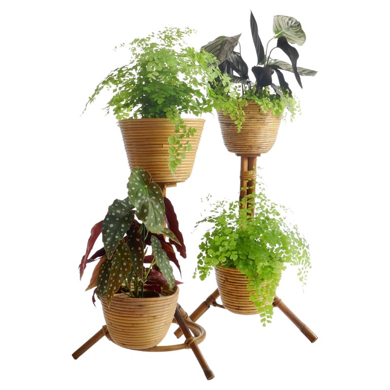 Set of 2 Bamboo and Rattan Plant Holders, Italy 1950s